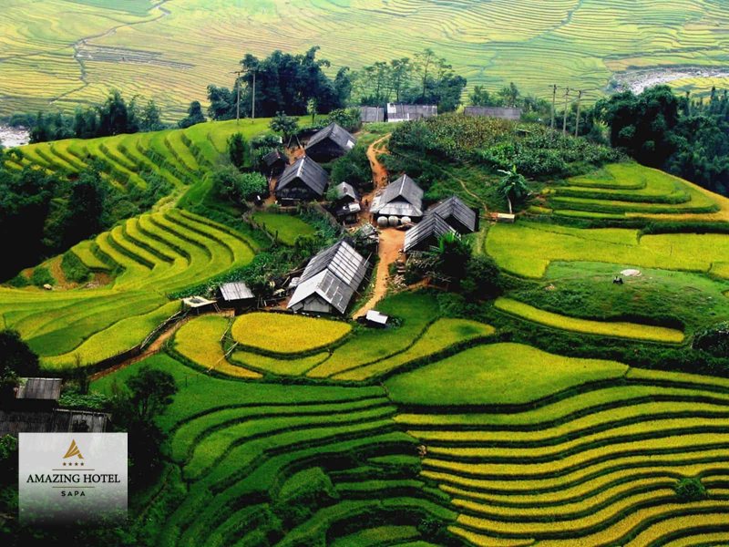 Bản Tả Phìn Sapa - Nghề thổ cẩm của người Dao đỏ