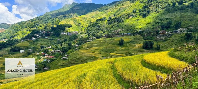 Bản Tả Van Sapa - Ruộng bậc thang và dòng suối Mường Hoa Bản Tả Van Sapa - Ruộng bậc thang và dòng suối Mường Hoa