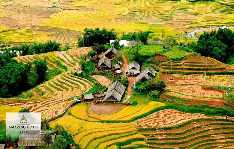 Chợ tình Sapa: Khám phá nét văn hóa độc đáo tại bản địa