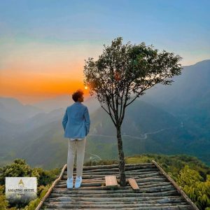 Checkin cây cô đơn Sapa: Điểm nhấn giữa sương mờ Tây Bắc