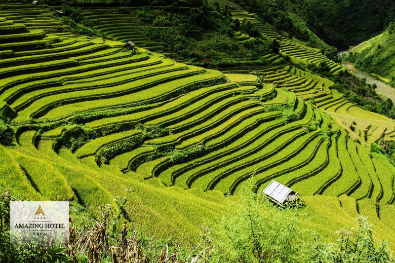 Du lịch trăng mật Sapa - So sánh các nhóm tháng