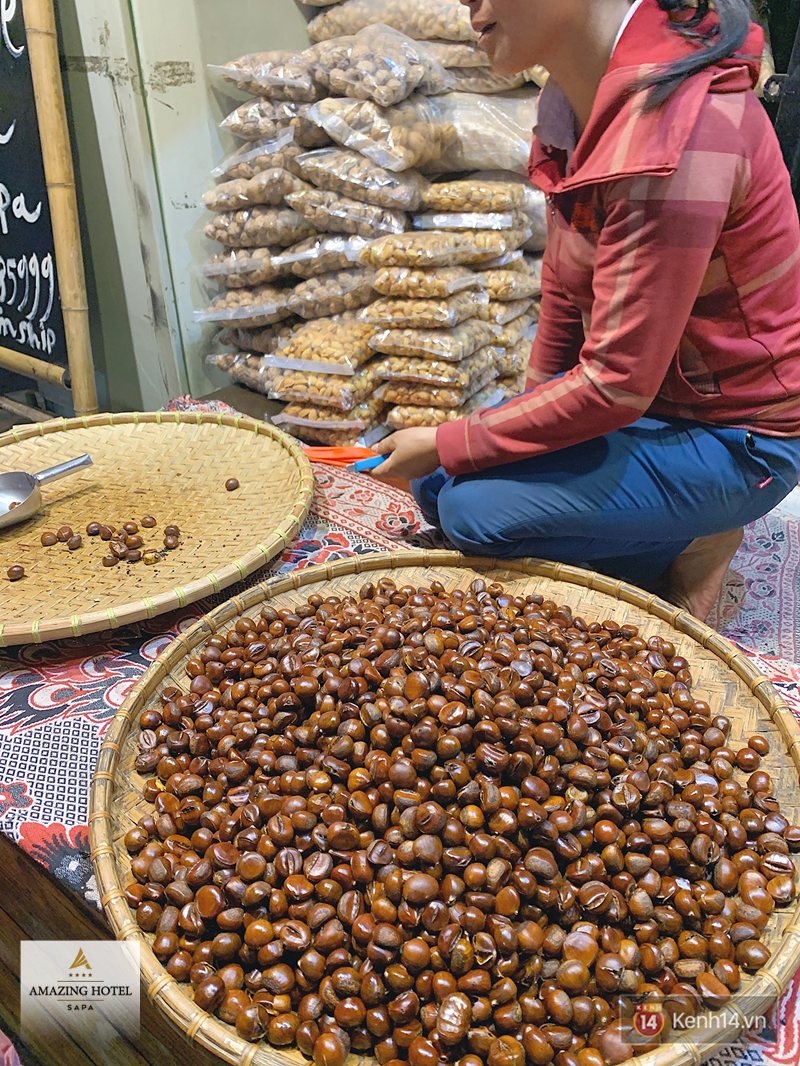 Hạt dẻ Sapa - Hạt dẻ Sapa thật: nhìn, cầm rồi hãy hỏi