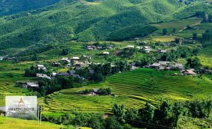 Ruộng bậc thang Sapa: Vẻ đẹp bên những triền đồi Tây Bắc