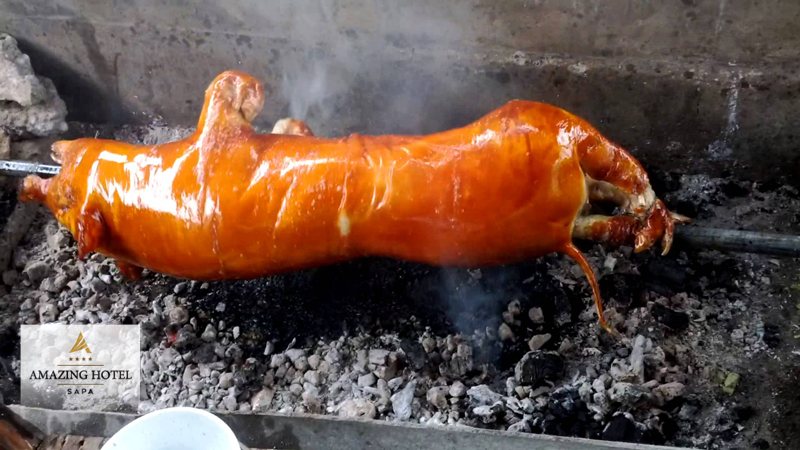 Lợn cắp nách Sapa - Cấu trúc miếng thịt