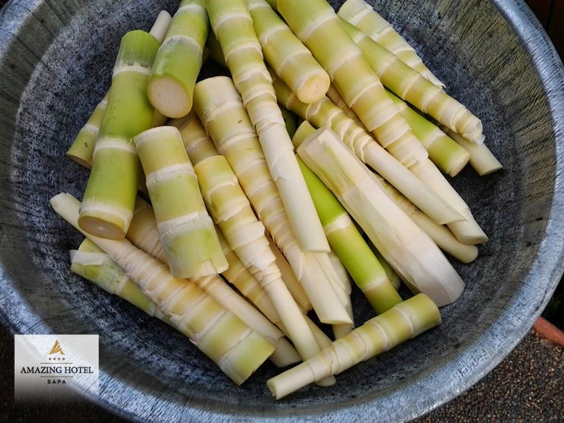 Măng chua Sapa - Vị ra sao, ai dễ hợp