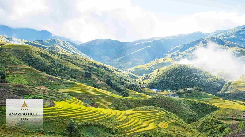 Săn mây Sapa – Trải nghiệm du lịch độc đáo và ấn tượng