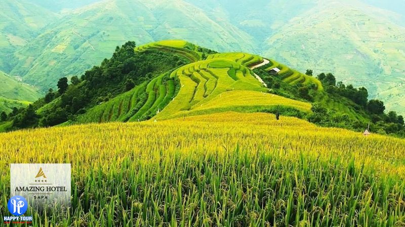 Những cung đường ngắm ruộng bậc thang Sapa đẹp nhất