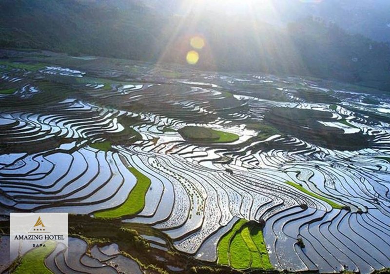 Sapa mùa hè - Nên và không nên đi theo tháng