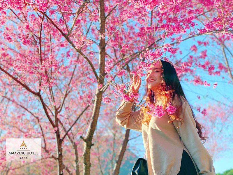 Sapa mùa hoa đào - Thời tiết và chuẩn bị cho Sapa mùa hoa đào