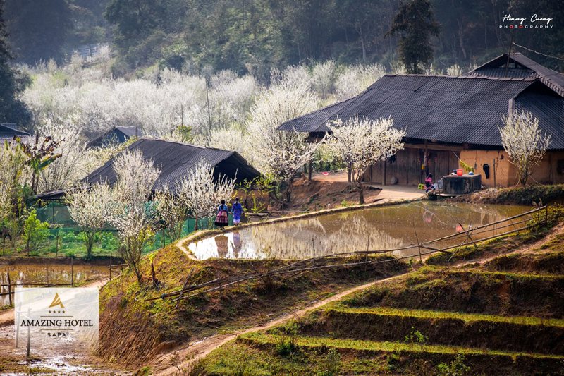 Nghỉ lễ 2 9 nên đi đâu chơi