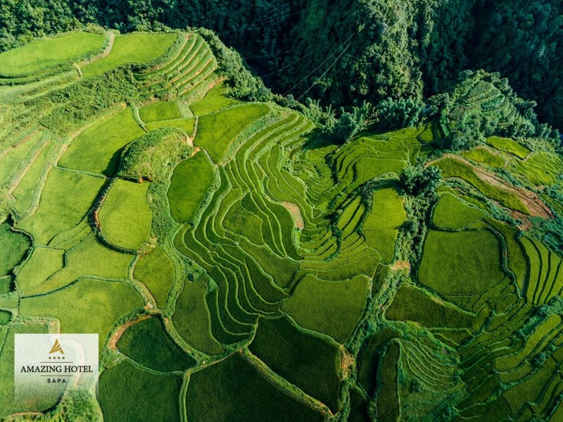 Sapa mùa lúa chín - Mường Hoa, Lao Chải, Tả Van