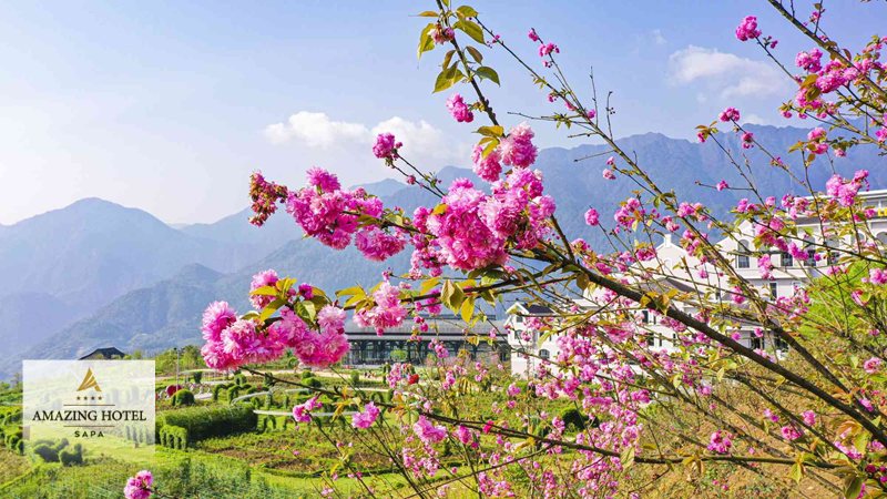 Sapa mùa nước đổ - Sapa mùa nước đổ khác mùa lúa chín thế nào