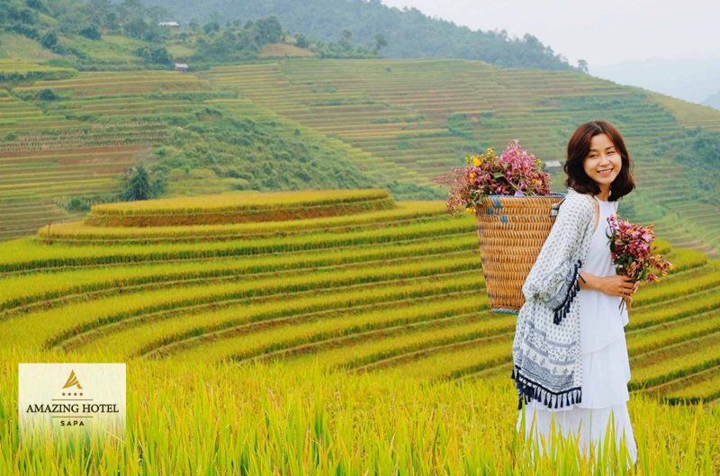 Sapa tháng 10 - Lúa còn hay đã gặt Sapa tháng 10 - Lúa còn hay đã gặt