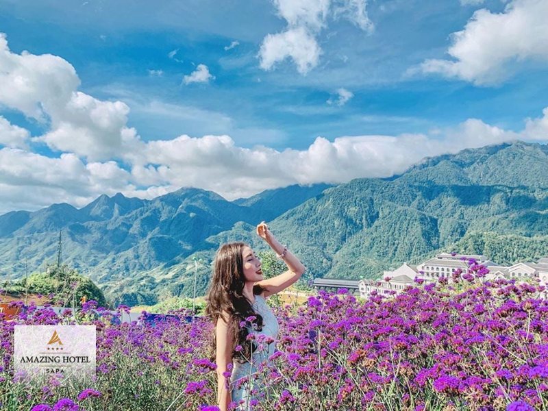 Nên đi Sapa vào tháng mấy? Gợi ý thời gian lý tưởng để khám Sapa
