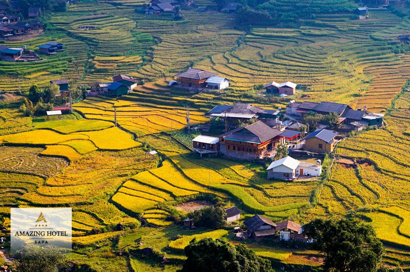 Sapa tháng 9 - Lúa chín là điểm mạnh, nhưng mốc dao động Sapa tháng 9 - Lúa chín là điểm mạnh, nhưng mốc dao động