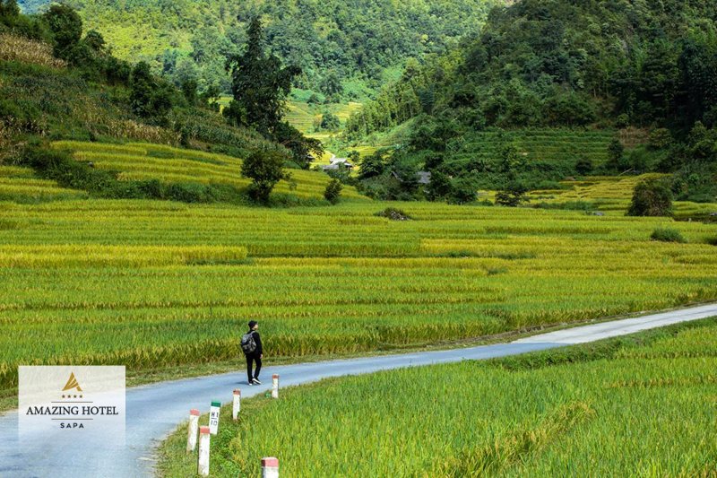 Sapa tháng 9 - Bảng tham chiếu theo giai đoạn trong tháng Sapa tháng 9 - Bảng tham chiếu theo giai đoạn trong tháng