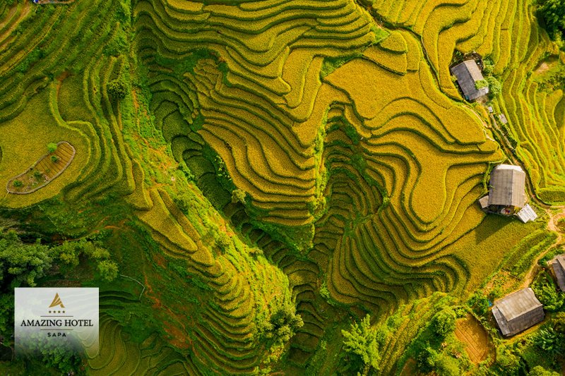 Sapa tháng 9 - Khoảng giá tham khảo và cách đặt phòng Sapa tháng 9 - Khoảng giá tham khảo và cách đặt phòng