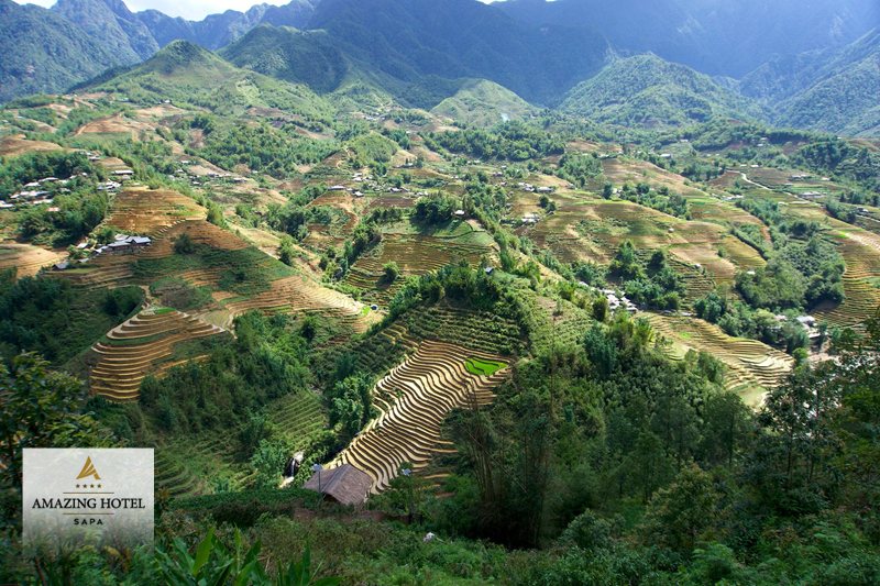 Trekking Sapa - Nhóm khó: Ngũ Chỉ Sơn và Fansipan đường bộ