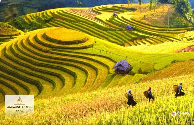 Vườn đá Tả Phìn - Thực tế trong khoảng một tiếng